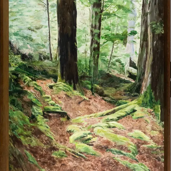 Nell Norman - framed oil on board - Bush at Mirror Lakes - H590 W390
