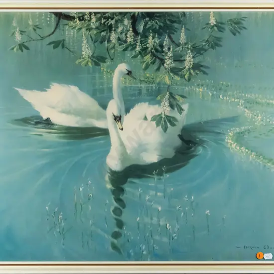 framed Vernon Ward print - swans H-490 W-590