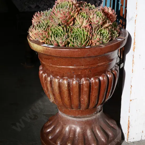 glazed two part garden planter urn with succulents H-500