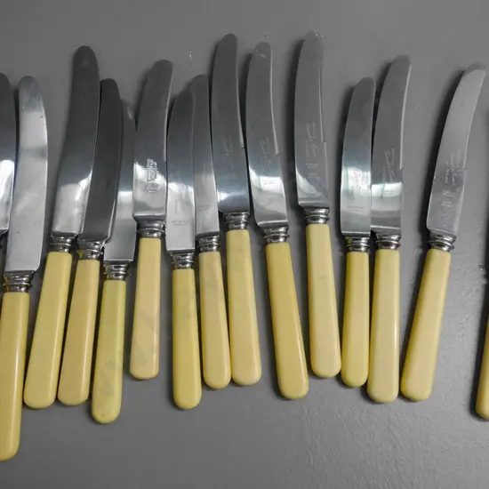 bone handled knives