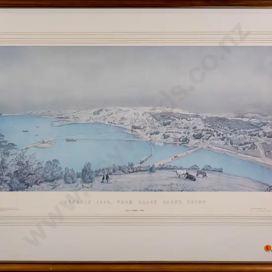 framed hisoric Dunedin print - "Dunedin 1883, From Black Jack's Point" H-340 W-570