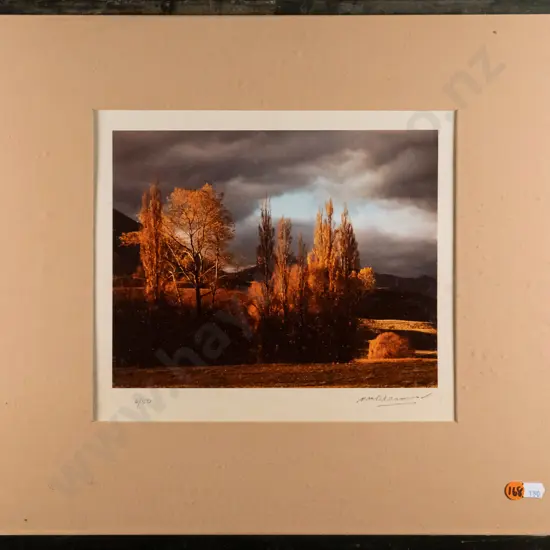 Matheson Beaumont - framed photograph 4/50 - "Autumn Landscape" H-190 W-240 (interior glass needs a clean)