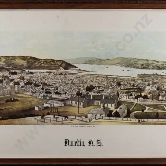 framed historic print- Dunedin scene- some foxing H-160 W-370