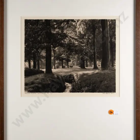 framed George Chance black and white photograph - "Woodland Sunshine Christchurch"  H-205 W-255