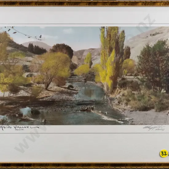 framed hand coloured vintage photograph - Maitai Valley Nelson H-170 W-290