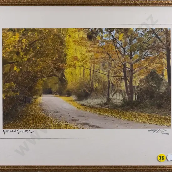 framed hand coloured vintage photograph - Autumn Glory H-170 W-290