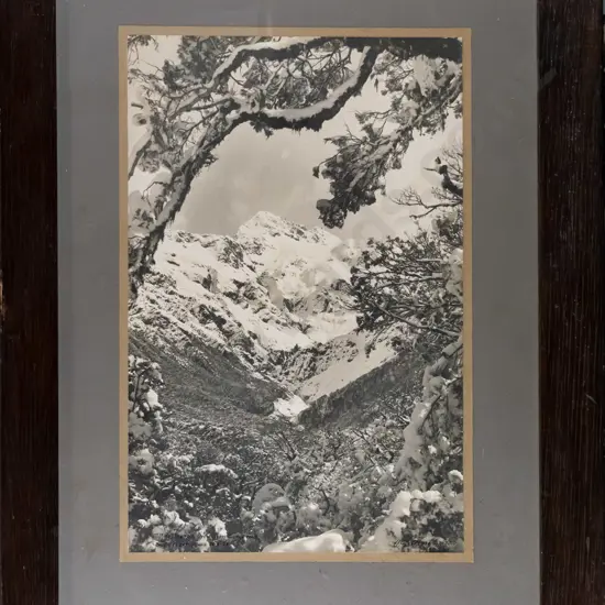 WD Frazer 29.8.29 - framed black and white photograph - Mt Rolleston from Orira Gorge Road H-390 W-250