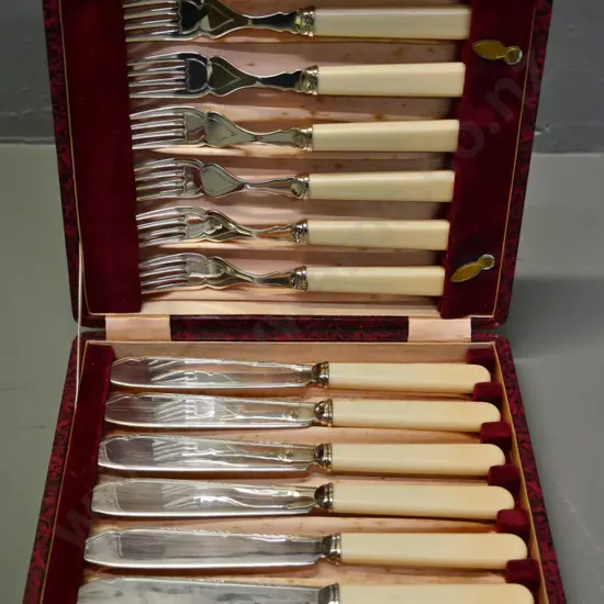 cased set of bone-handled plated fish knives and forks