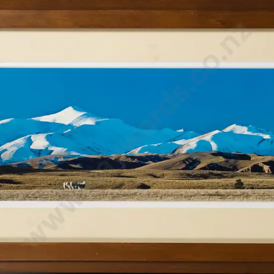 framed Graeme Atkinson photographic print "The Maniototo in winter" H-150 W-640