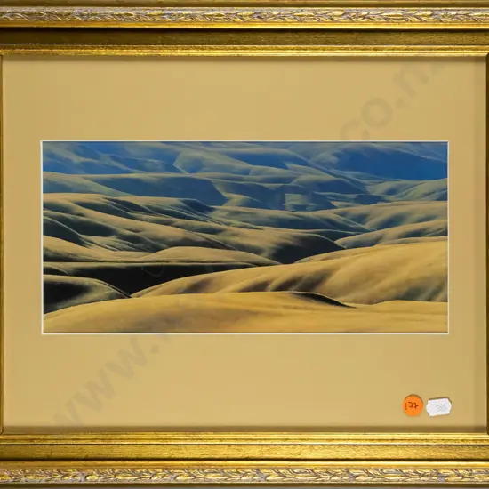 gilt framed Grahame Sydney print - hills H-135 W-280