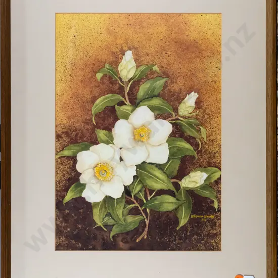 Brenda Shore - framed watercolour "White single camelia" H-350 W-240