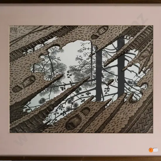 framed MC Escher print - trees in puddle H-350 W-480