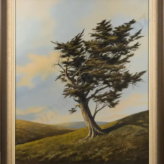 Graham Tait - framed oil - "Tree Study Otago Peninsula" H-740 W-590