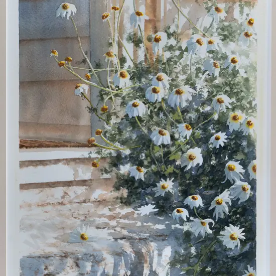 Paul Coney '83 -framed watercolour - daisies H-450 W-290