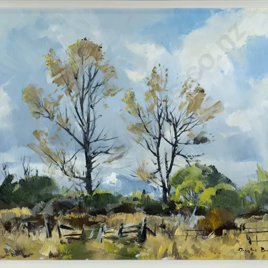 Douglas Badcock 1983 - framed oil  "Spring McKenzie Country near Lake Ohau" H-360 W-500