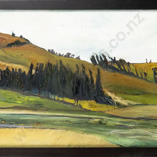 Joanna Tokona 2007 - framed oil "Resting Place Karitane" H-290 W-1210