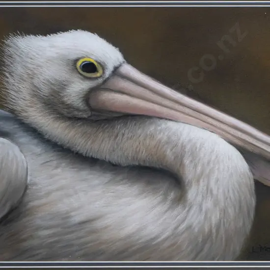 Linda Mowbray - framed watercolour - pelican H-290 W-430