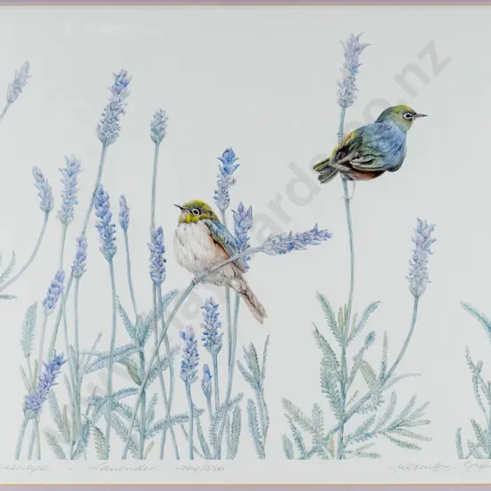 Merrilyn Jaquiery - framed ltd edition print 264/350 "Silver Eye in lavender H-290 W-390