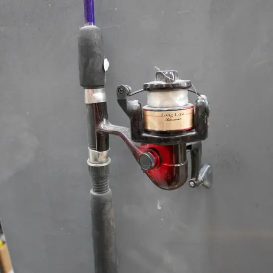 spinning rod and reel