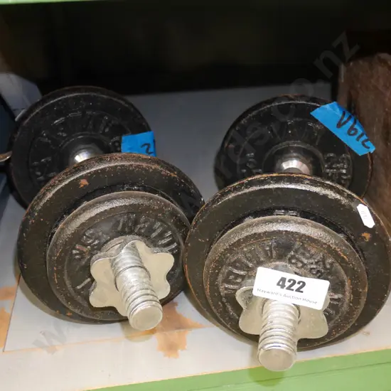 pair of dumb bells