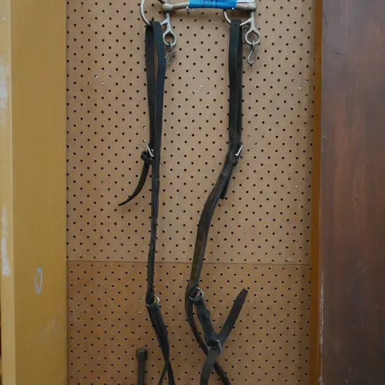 horse tack