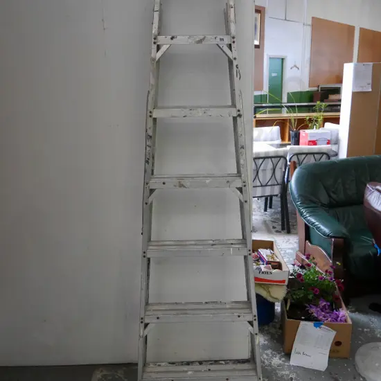 Alco 6 step aluminium ladder