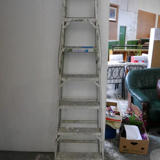 Trademaster 6 step aluminium ladder