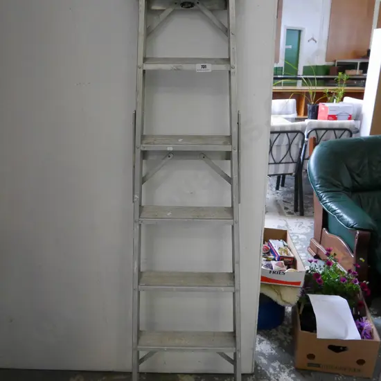 Lyte 6 step aluminium ladder