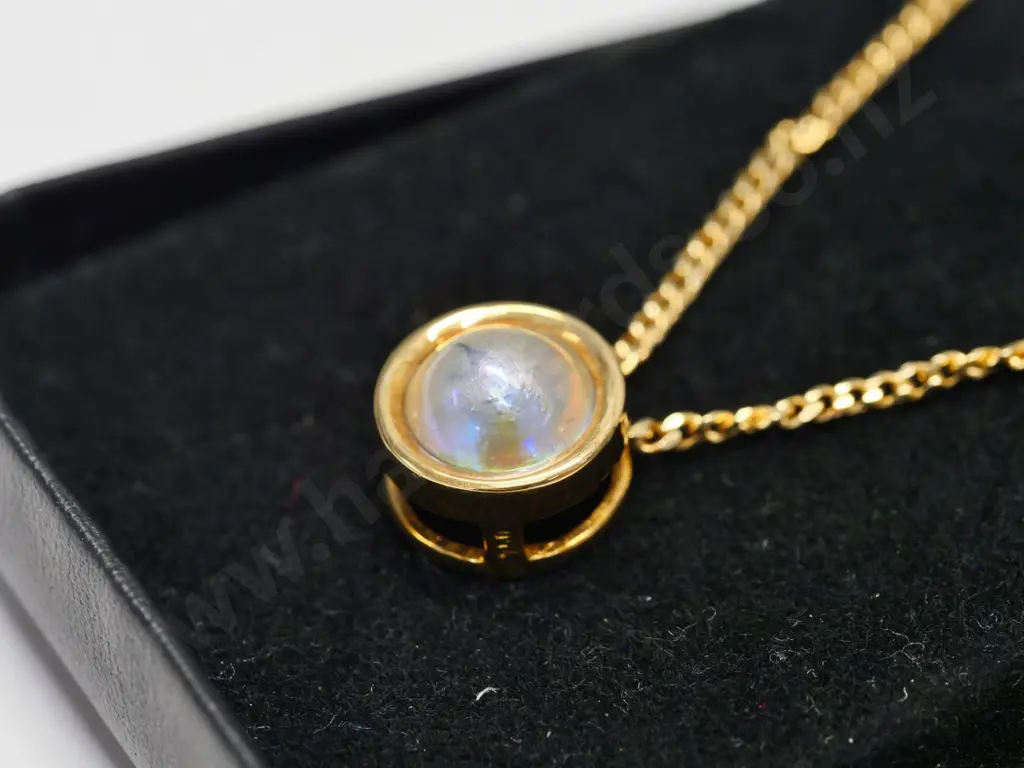 paua pearl necklace Image 1++