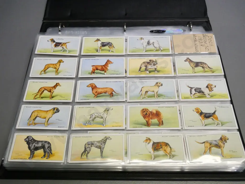 binder full of cigarette collector's cards in album sheets - wildlife, butterflies, dogs, etc. Image 1++