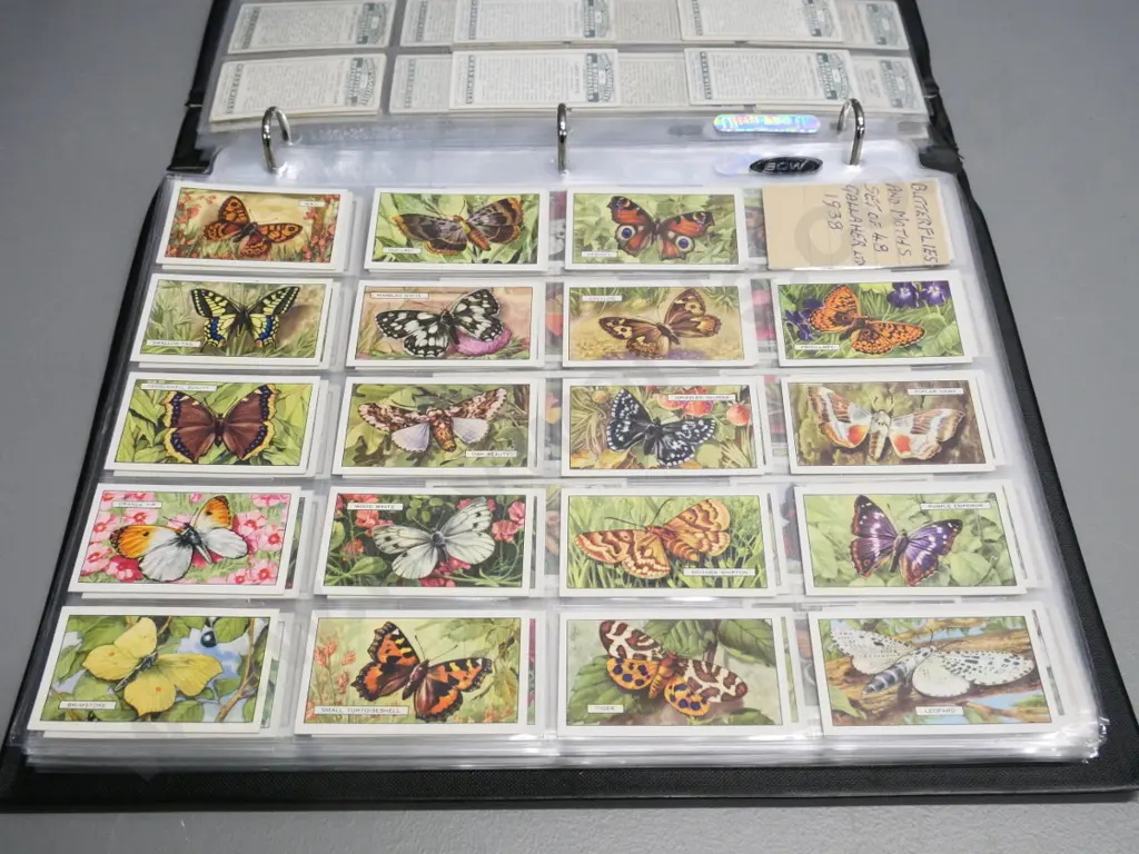 binder full of cigarette collector's cards in album sheets - wildlife, butterflies, dogs, etc. Image 1++