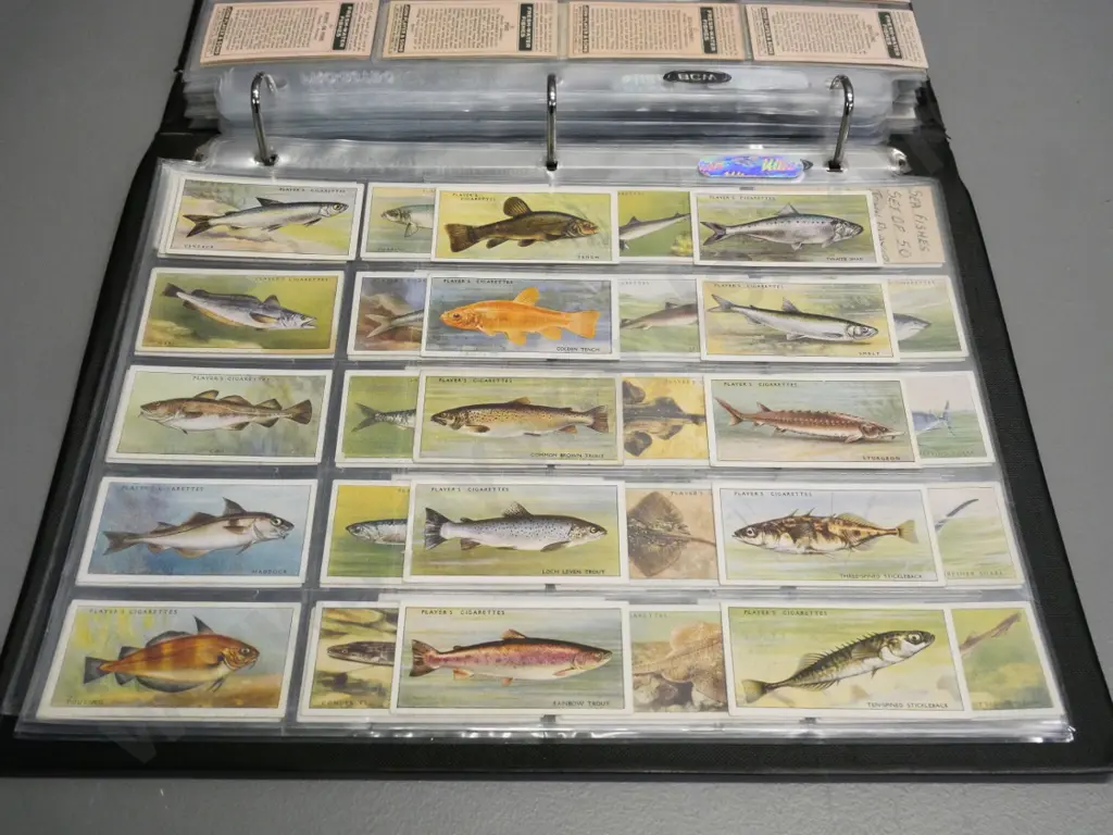 binder full of cigarette collector's cards in album sheets - wildlife, butterflies, dogs, etc. Image 1++