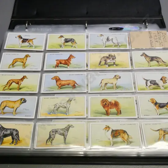 binder full of cigarette collector's cards in album sheets - wildlife, butterflies, dogs, etc.