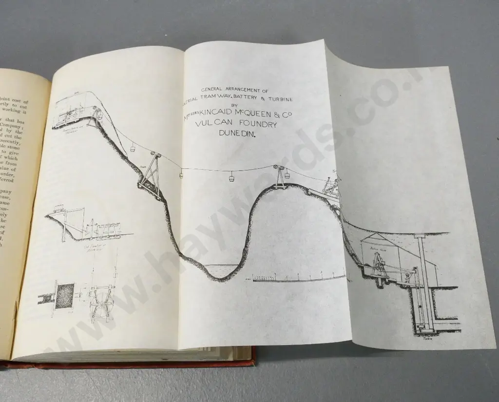 book - 1887 - Report on the Mining Industry of New Zealand - foxing and wear Image 1++