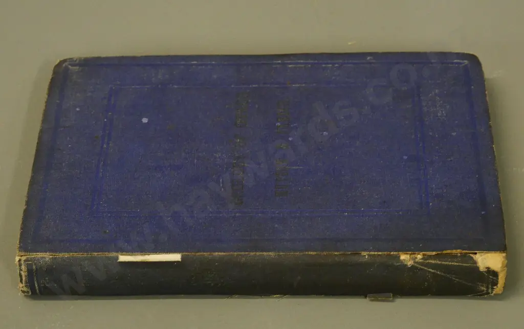 book - Hutton's Report on the Geology and Goldfields of Otago - 1875 - foxing and some damage Image 1++