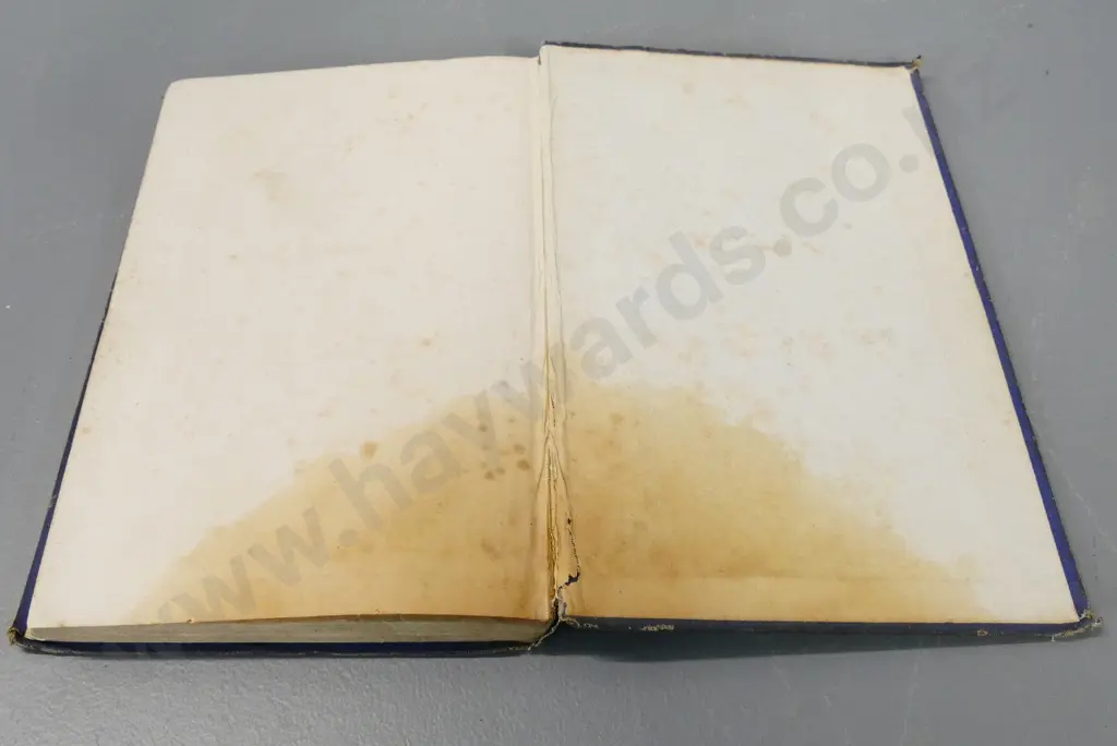 book - Hutton's Report on the Geology and Goldfields of Otago - 1875 - foxing and some damage Image 1++