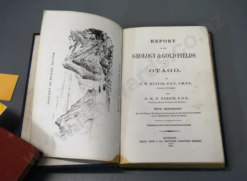 book - Hutton's Report on the Geology and Goldfields of Otago - 1875 - foxing and some damage Image 1++