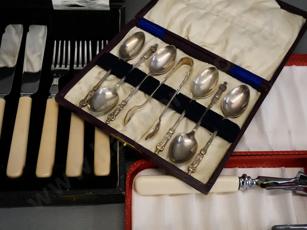 3 cased sets EPNS cutlery - fish set, apostle teaspoons, carving set (faux bone handles) Image 1++