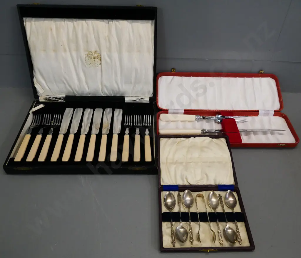 3 cased sets EPNS cutlery - fish set, apostle teaspoons, carving set (faux bone handles) Image 1++