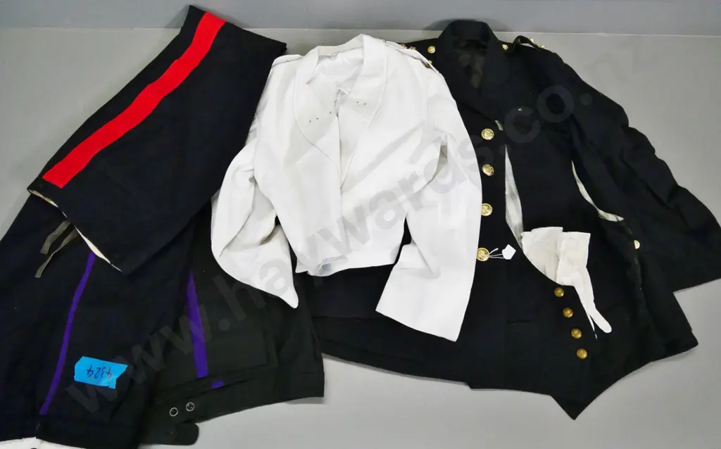 assorted military uniform pieces - mess jacket, dress jacket, trousers etc - some buttons with Tria Juncto in Uno motto Image 1++
