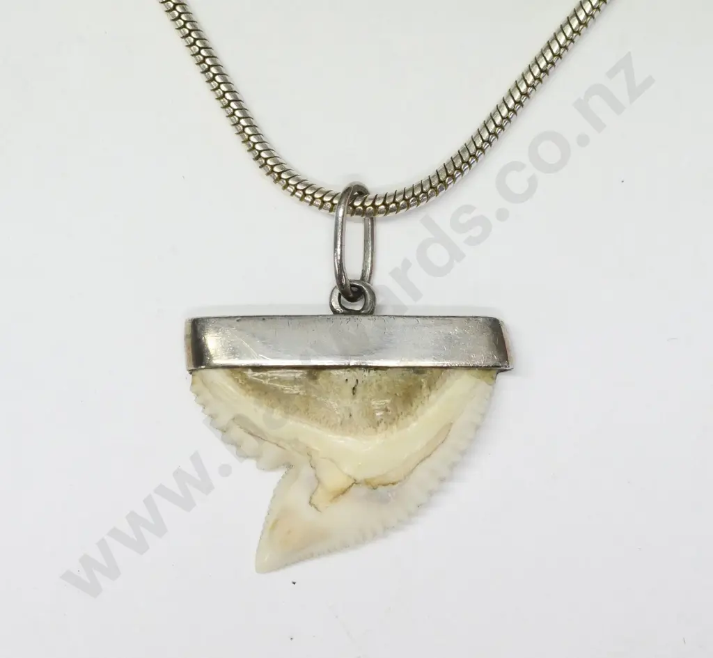 silver shark tooth necklace chain stamped 925 Image 1++