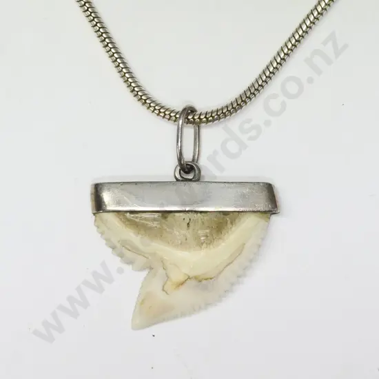 silver shark tooth necklace chain stamped 925