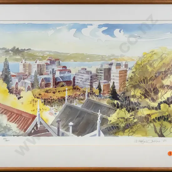 framed and signed Douglas Chowns '93 print - university of Otago H-340 W-550