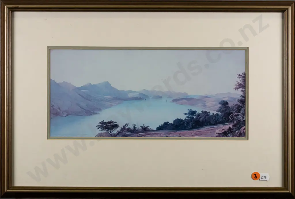 framed historic print - Otago Harbour H-150 W-340 Image 1++