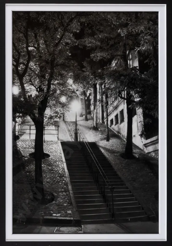 framed black and white photograph - stairs H-290 W-190 Image 1++