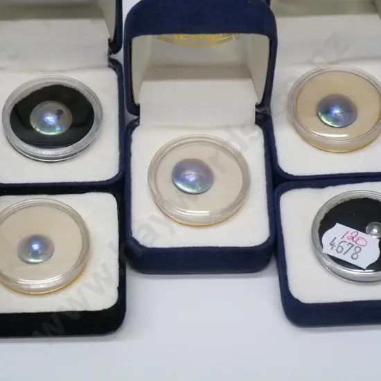 5 asstd paua pearl stones