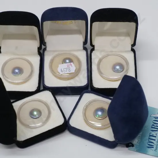 5 asstd paua pearl stones