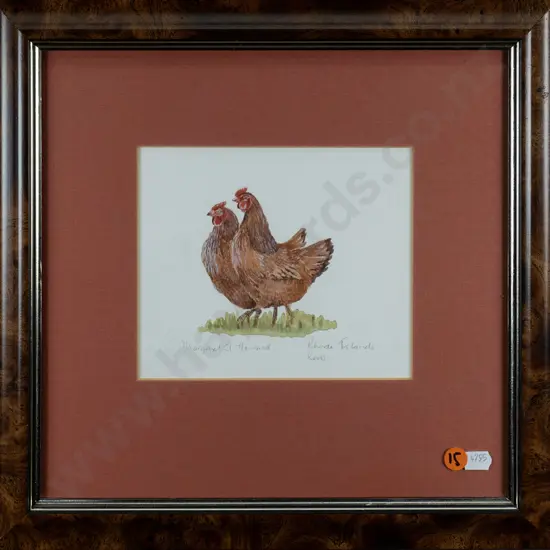 Margaret A Howard - watercolour "Rhode Island Reds" H-140 W-165