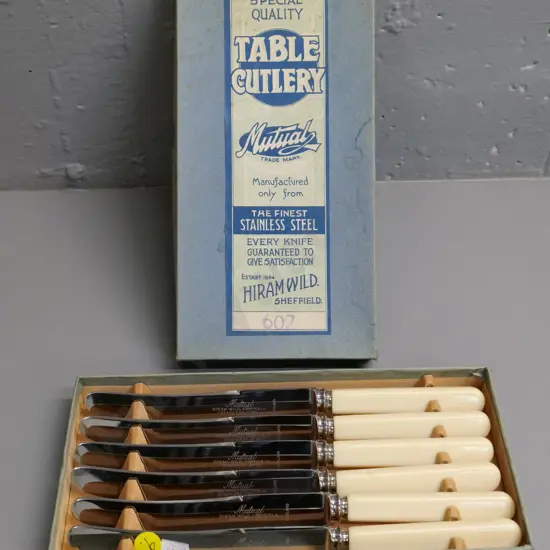 boxed set of 6 bone-handled table knives