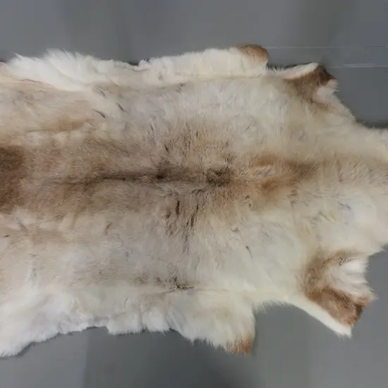 reindeer hide with Maison D'Or label - L-1450 W-820